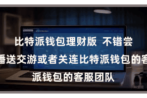 比特派钱包理财版 不错尝试重新播送交游或者关连比特派钱包的客服团队