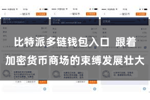 比特派多链钱包入口 跟着加密货币商场的束缚发展壮大