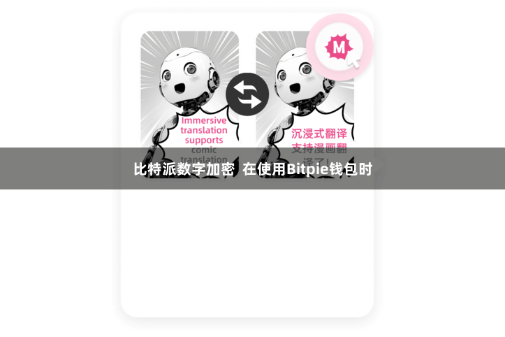 比特派数字加密 在使用Bitpie钱包时