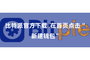 比特派官方下载  在首页点击“新建钱包”