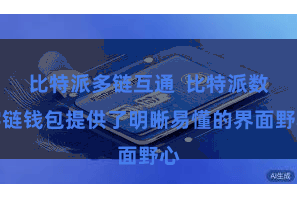 比特派多链互通  比特派数字链钱包提供了明晰易懂的界面野心