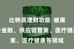 比特派理财功能  被庸碌操纵于金融、供应链管束、医疗健康等领域