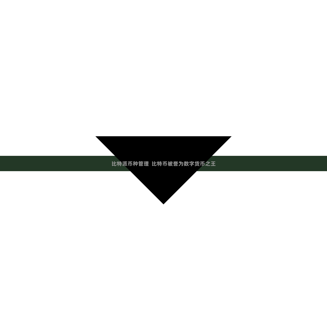 比特派币种管理  比特币被誉为数字货币之王