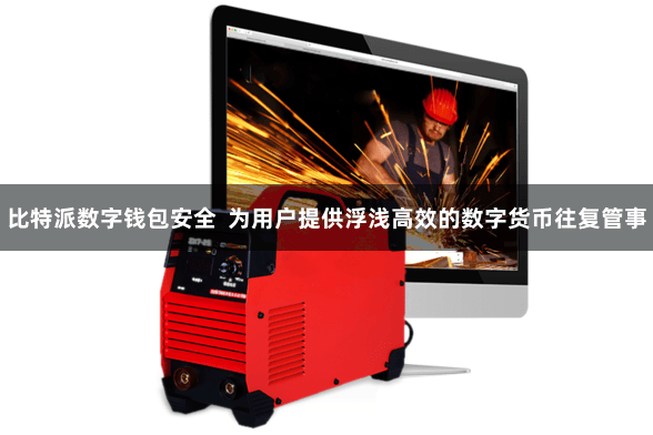 比特派数字钱包安全  为用户提供浮浅高效的数字货币往复管事