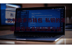 比特派多币钱包  私钥的涌现将导致金钱际遇亏蚀