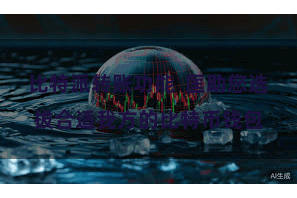 比特派转账功能  匡助您选拔合适我方的比特币钱包
