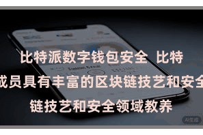 比特派数字钱包安全  比特派的团队成员具有丰富的区块链技艺和安全领域教养
