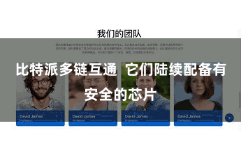 比特派多链互通  它们陆续配备有安全的芯片