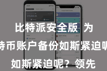 比特派安全版  为什么比特币账户备份如斯紧迫呢？领先